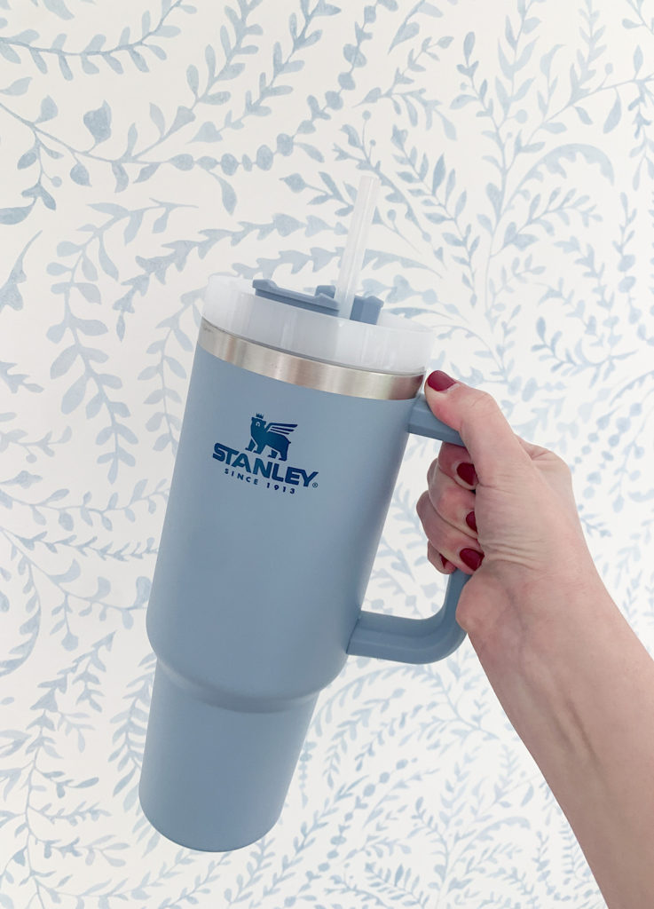 Stanley Water Bottle Review 2023 - Today's Parent